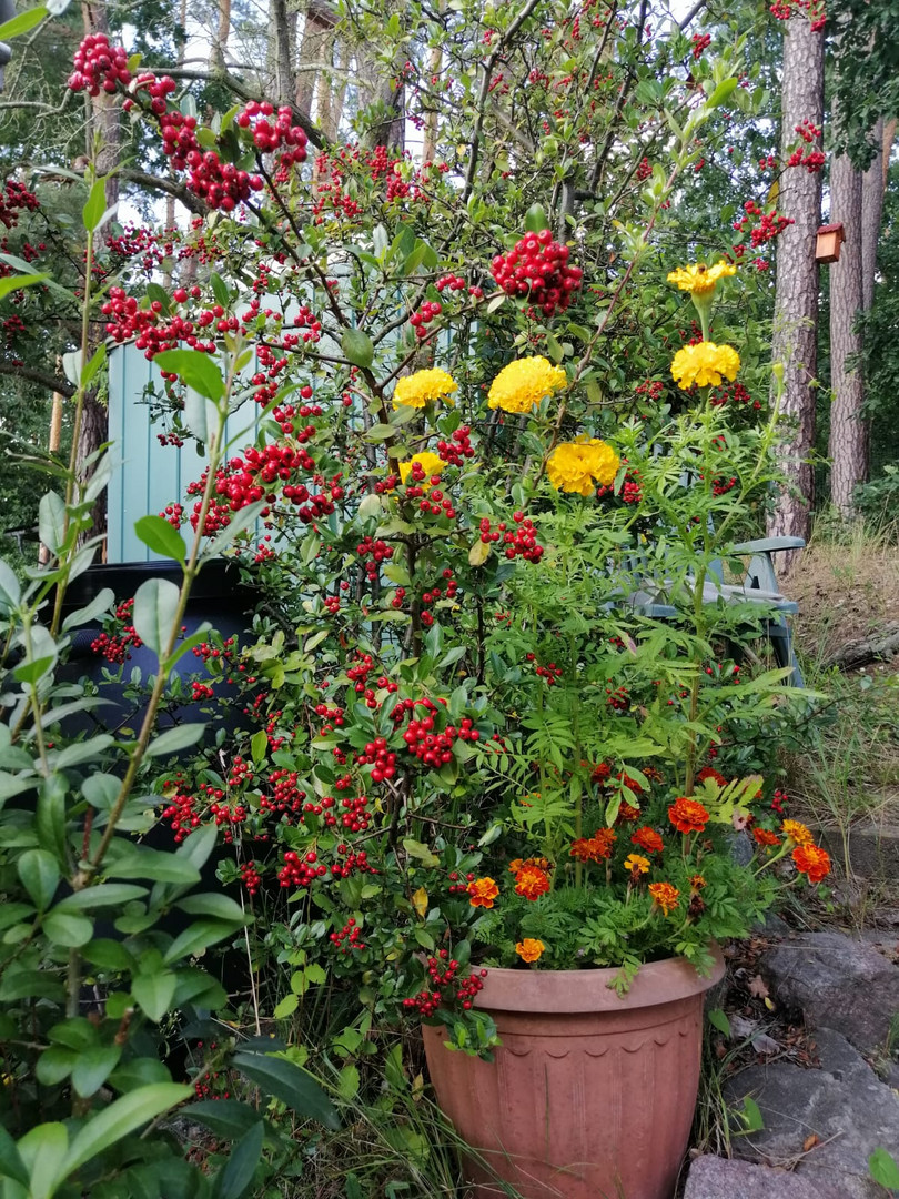 Langsam verabschiedet sich der Sommer