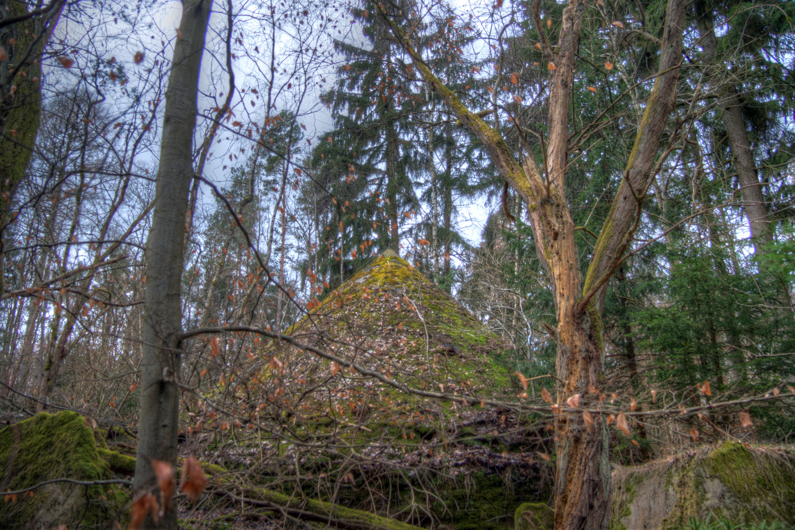 langsam von der Natur zurückerobert