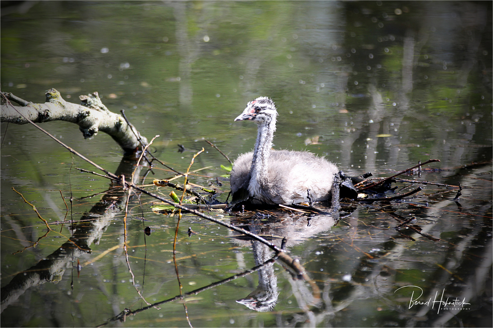 Langsam werden wir Erwachsen ... Naturpark Schwalm - Nette ....