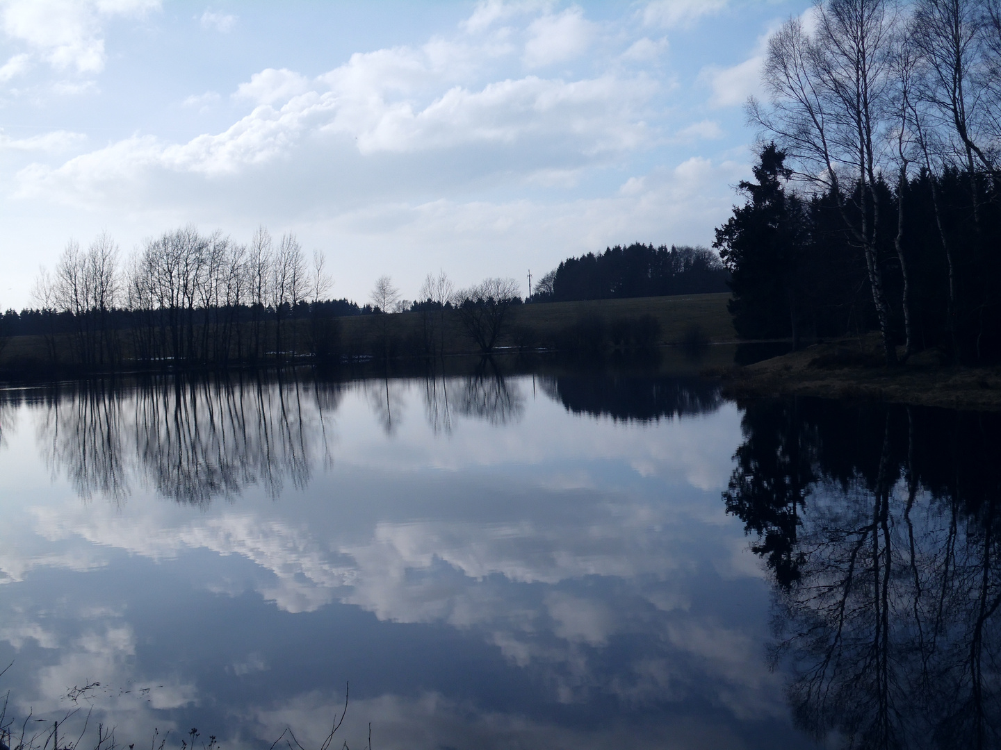 Langsam wird es auch bei uns Frühling