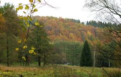 langsam wird es bunt