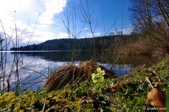 langsam wird es Frühling...