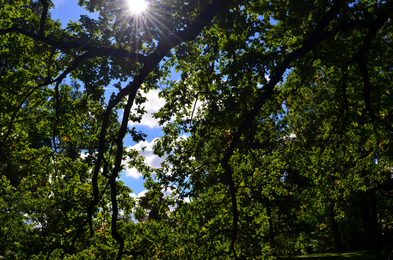 Langsam wird es Herbst