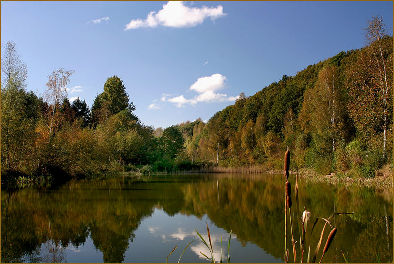 Langsam wird es Herbst !