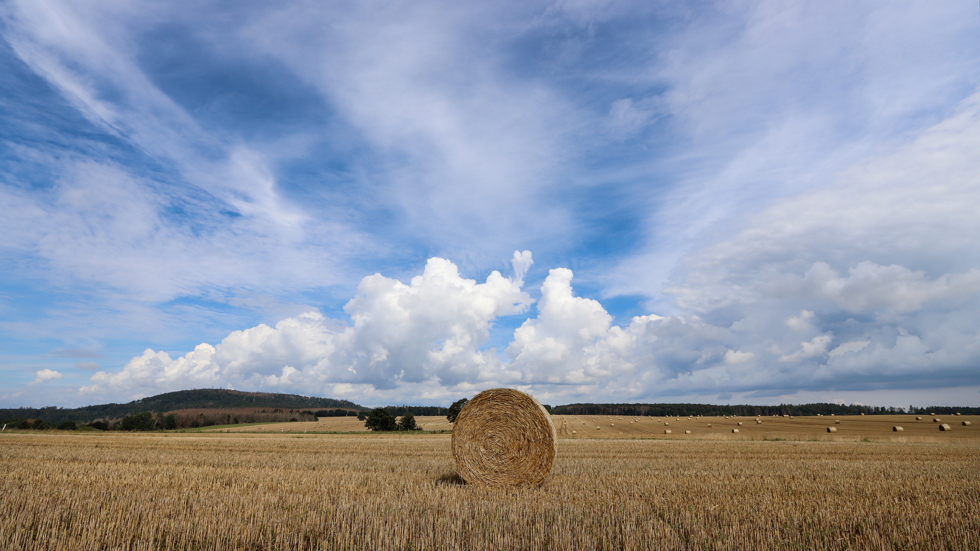 Langsam wird es Herbst.....