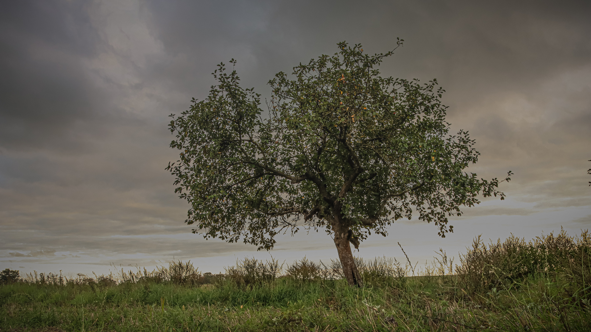 Langsam wird es Herbst