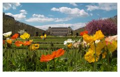 Langsam wird's doch Frühling