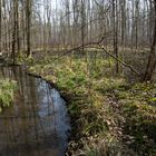 Langsam wird´s Frühling