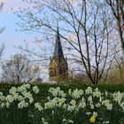 Langsam wird's Frühling