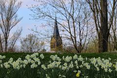 Langsam wird's Frühling