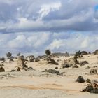 langsam zieht ein Sandsturm auf