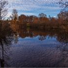 Langsee