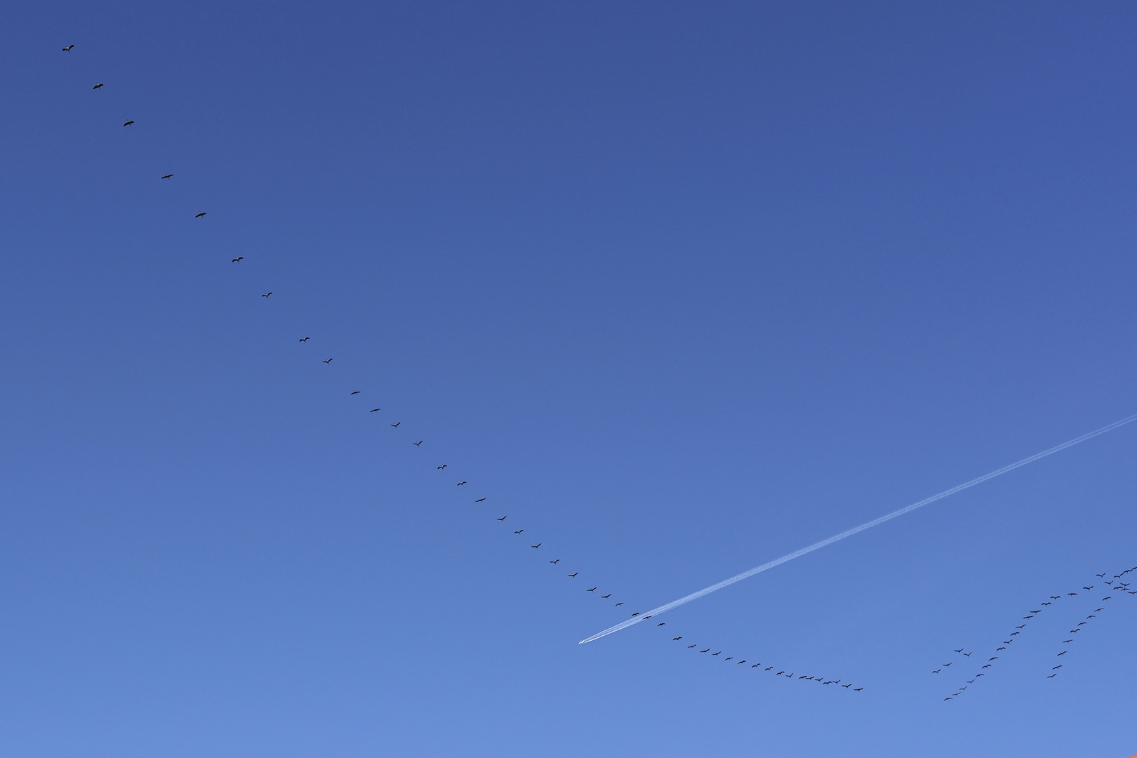 Langstreckenflieger und ihr CO2-Ausstoß