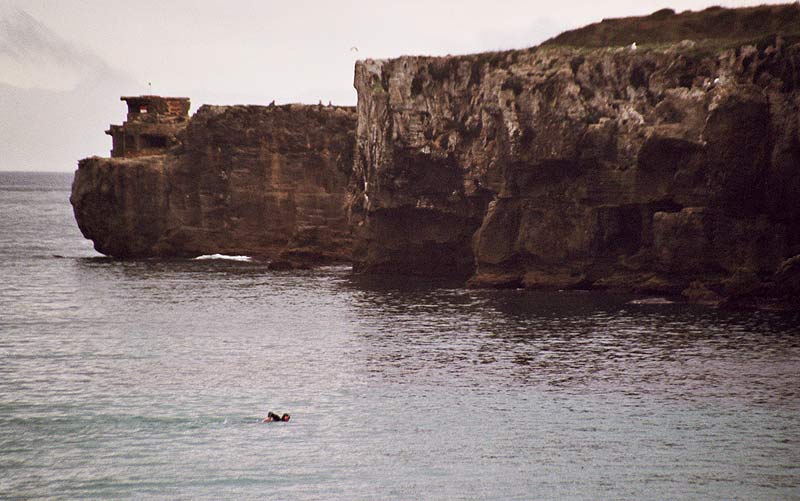 Langstreckenschwimmen in der Meerenge von Gibraltar