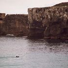 Langstreckenschwimmen in der Meerenge von Gibraltar