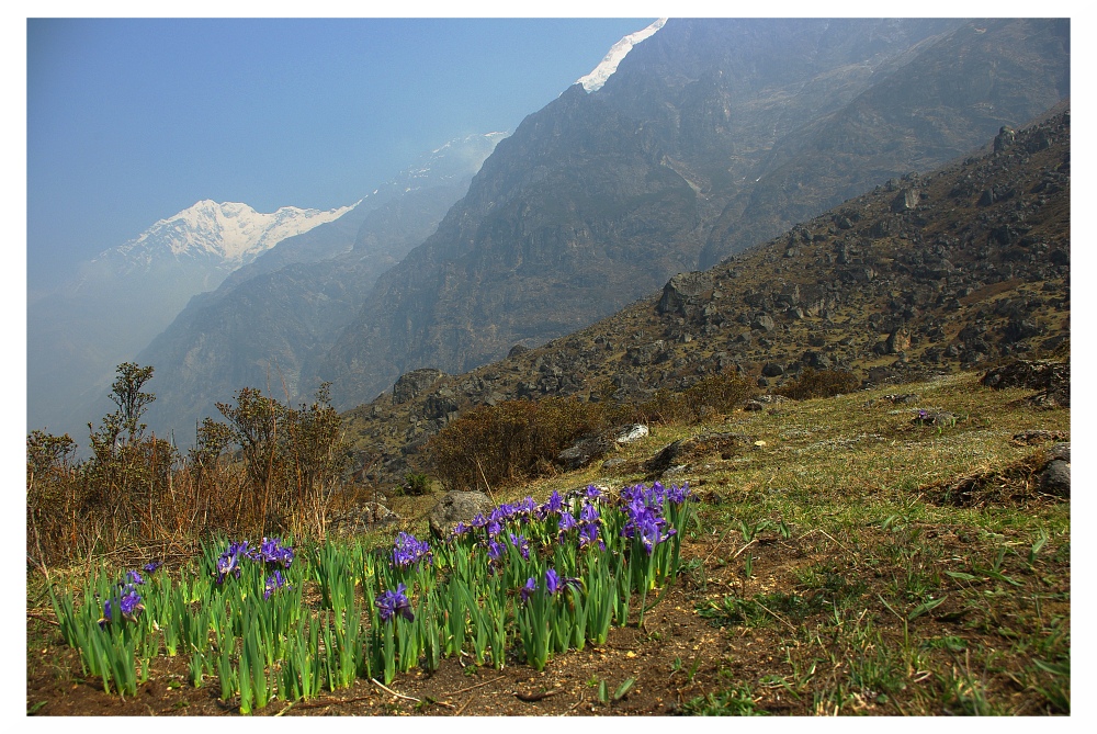 langtang NP