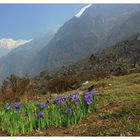 langtang NP