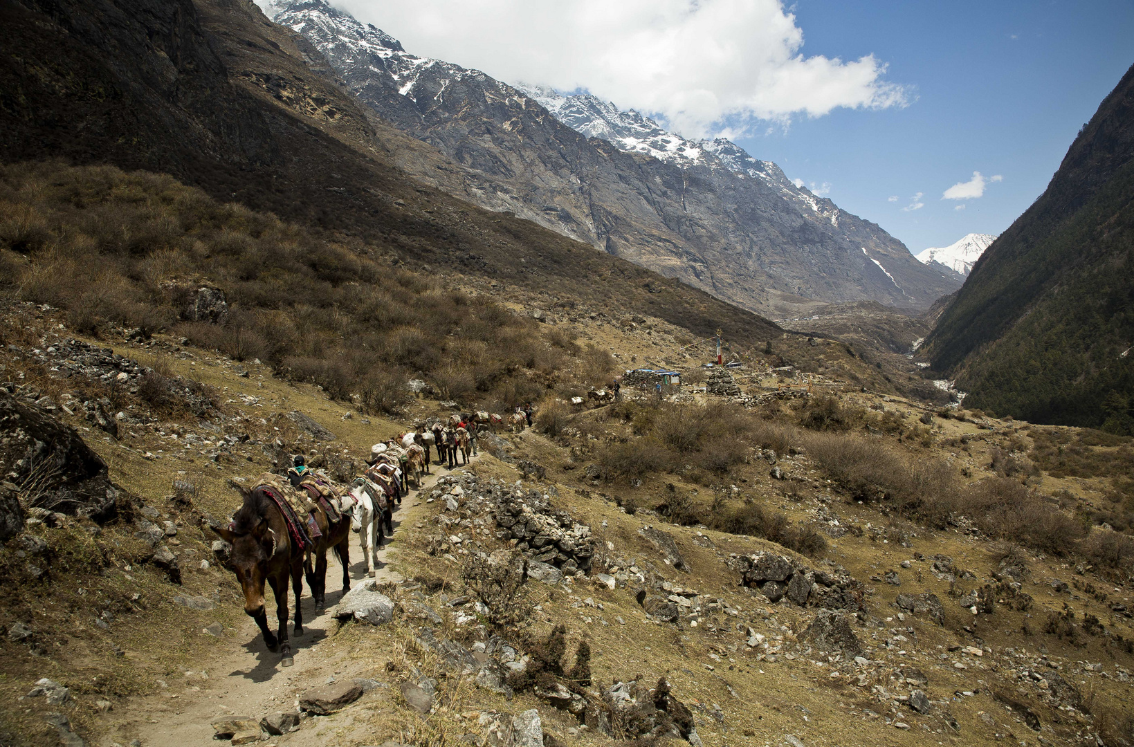 Langtang Valley