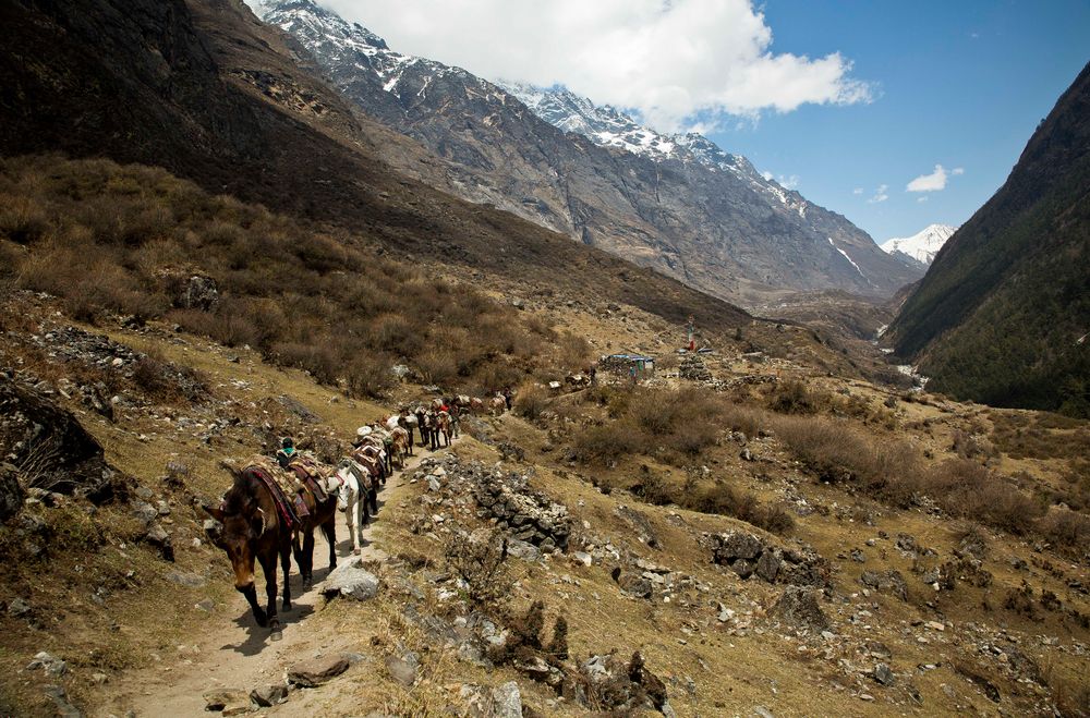 Langtang Valley