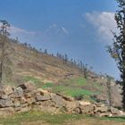 Langtang Valley