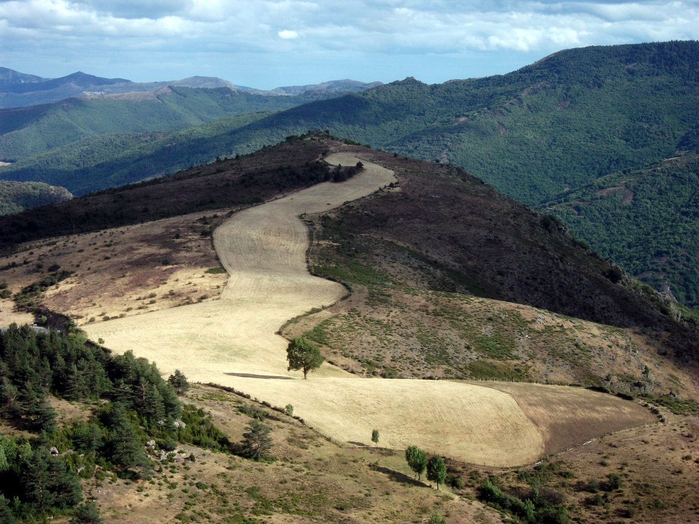 langue de blé en montagne