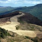 langue de blé en montagne