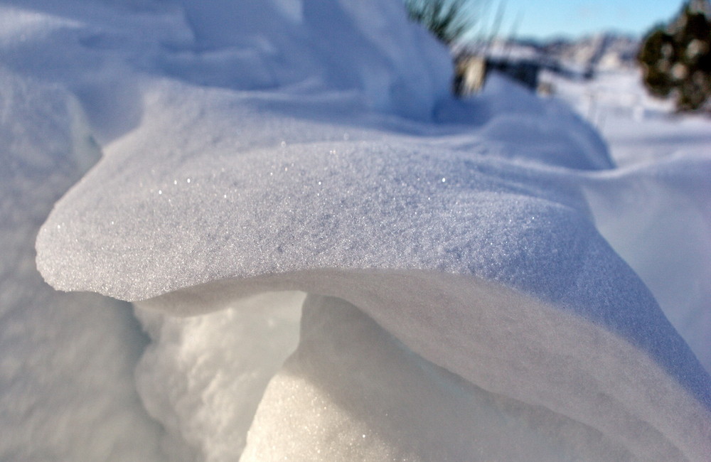 langue de glace (revue)