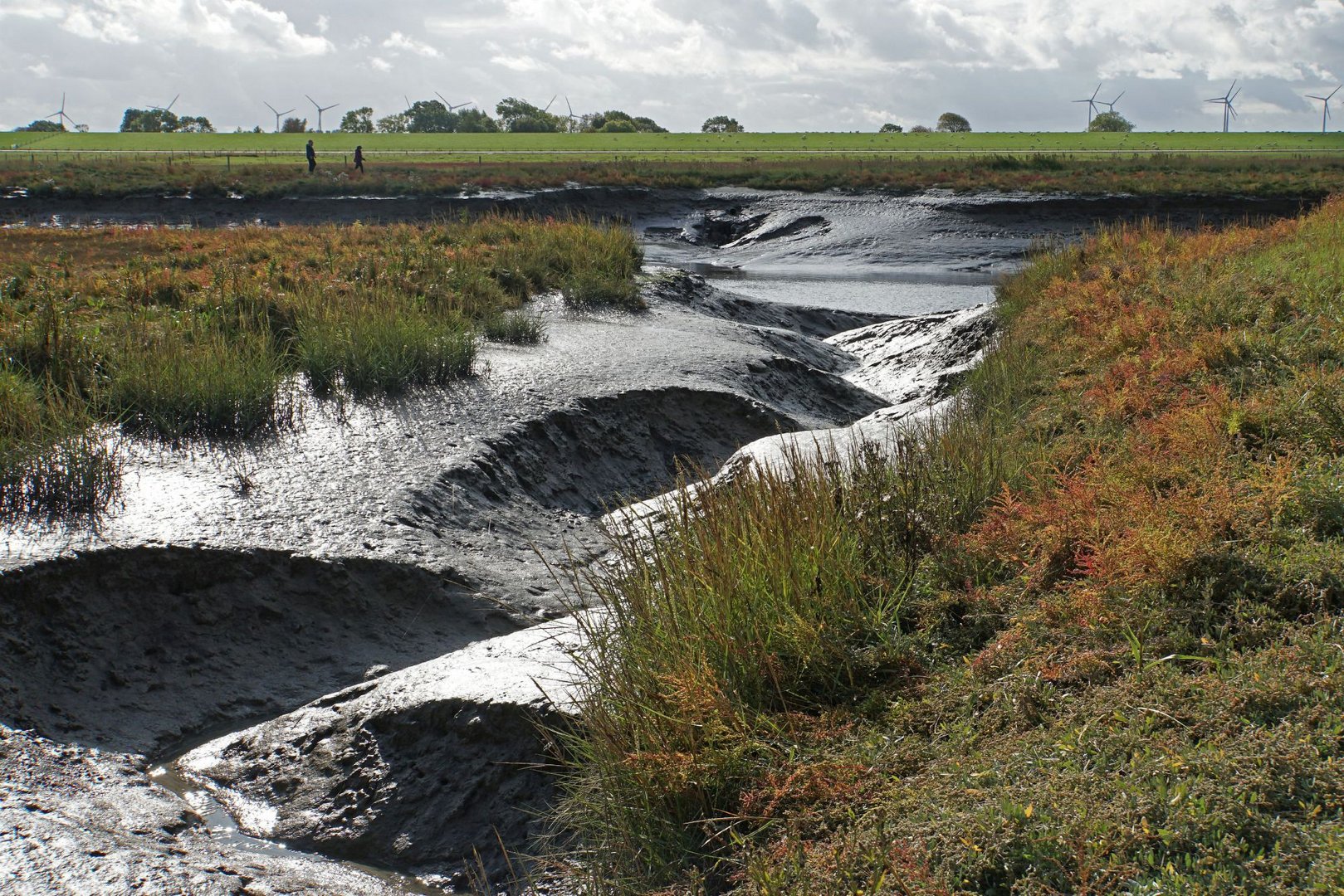 Langwarder Groden - abgelaufenes Wasser