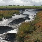 Langwarder Groden - abgelaufenes Wasser