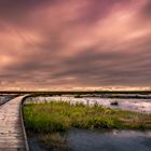 Langwarder Groden - Naturerlebnispfad - stormy day at the nature trail