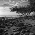 * langweilige ostsee? - boring baltic sea ? *