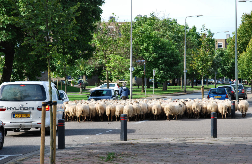 Langzaamverkeer - Langsamverkehr