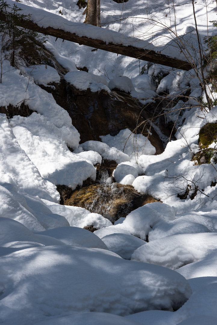 Langzeitaufnahme im Schnee