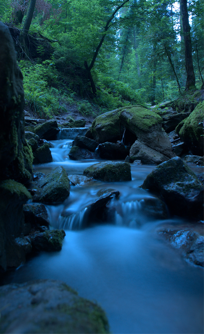 Langzeitaufnahme in der Hörschbach Schlucht