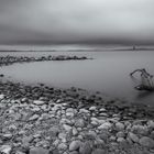 Langzeitbelichtung am Bodensee / Gaißau Rheinholz