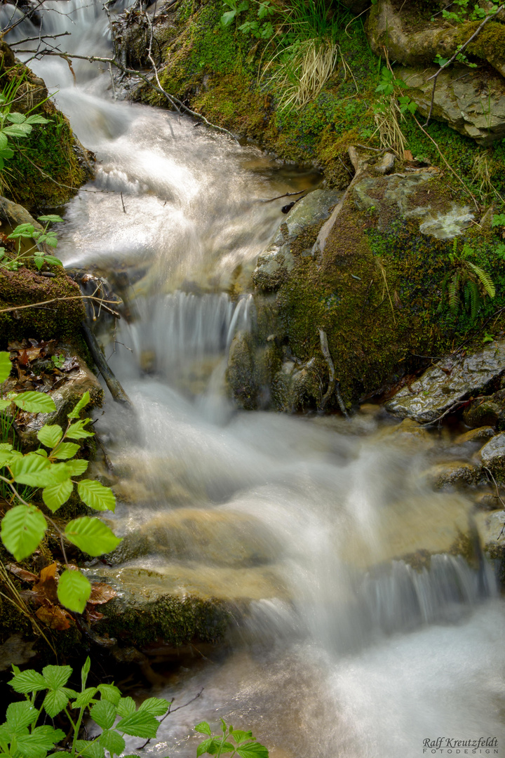 Langzeitbelichtung am Holzerather See