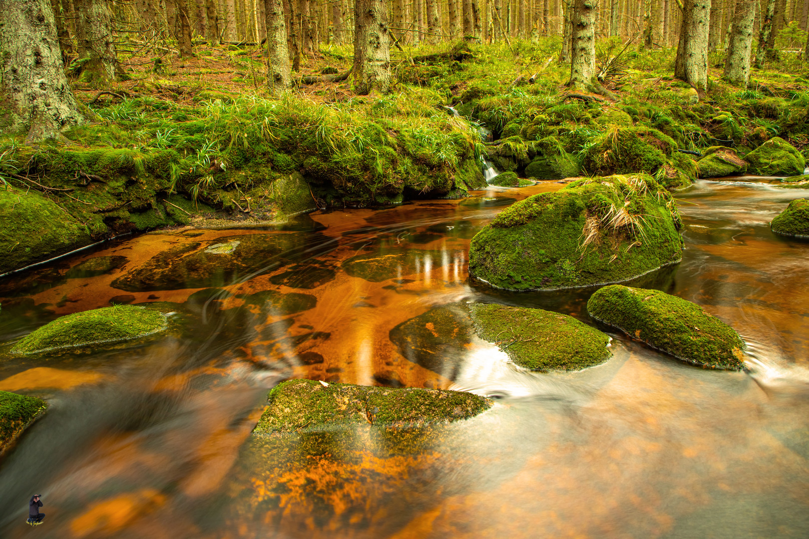 Langzeitbelichtung an der Ecker(Zulauf zur Eckertalsperre) im Harz