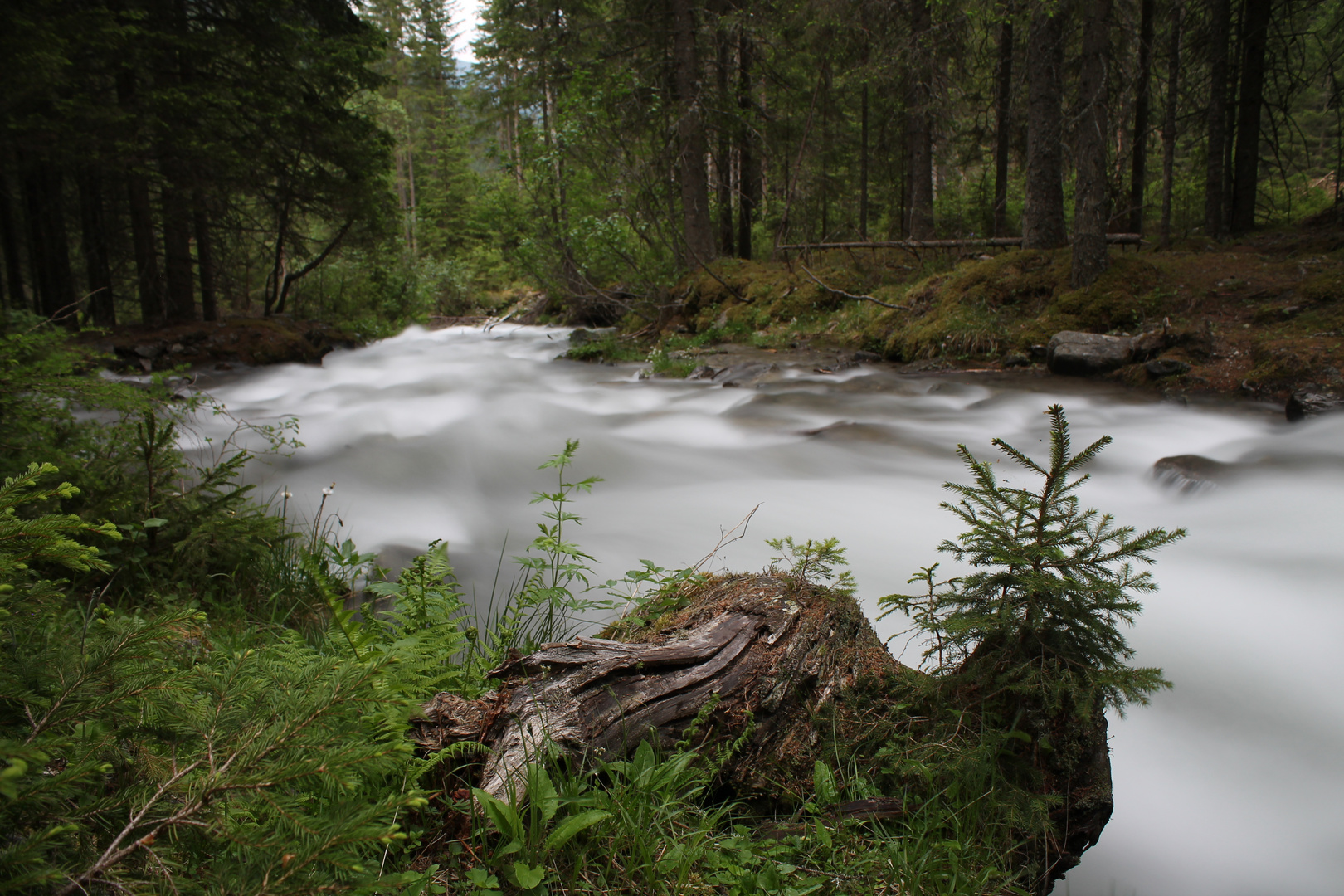 Langzeitbelichtung an der Lieser