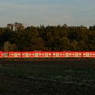 Langzug im Abendlicht