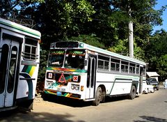 Lanka Ashok Leyland, II