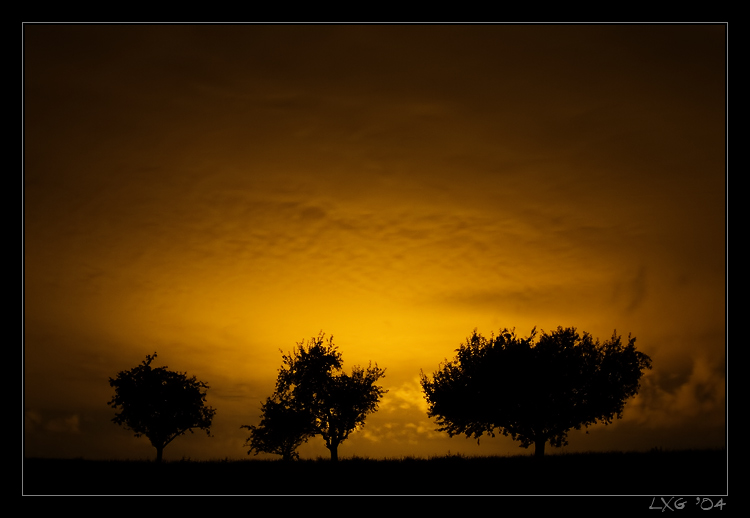 la.notte.rosso.