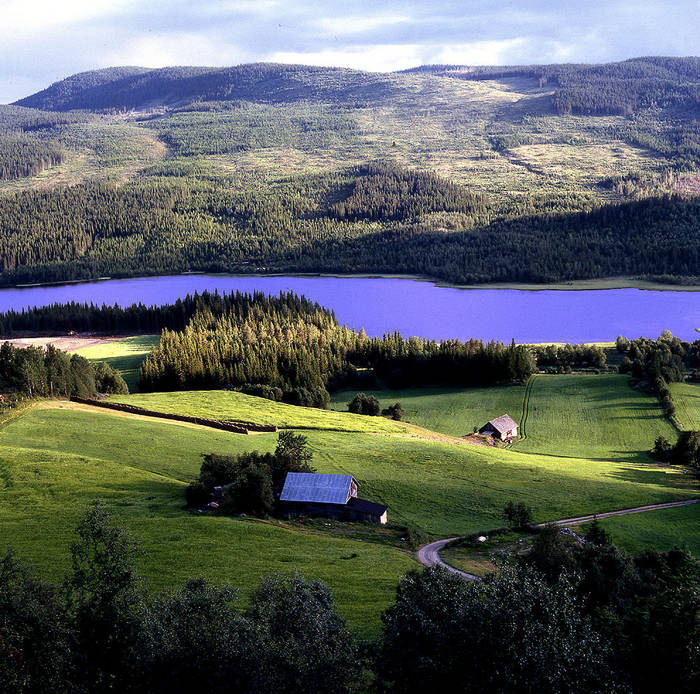 Lanschaft bei Jotunheimen