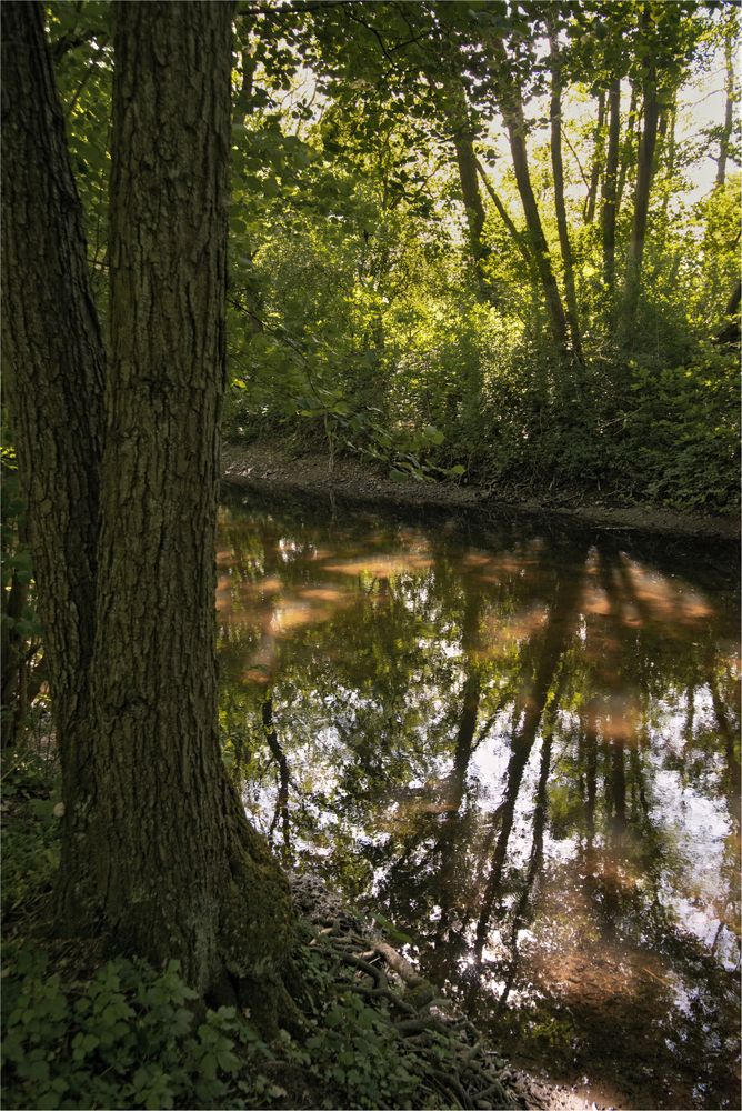 Lanschaftsschutzgebiet Trave