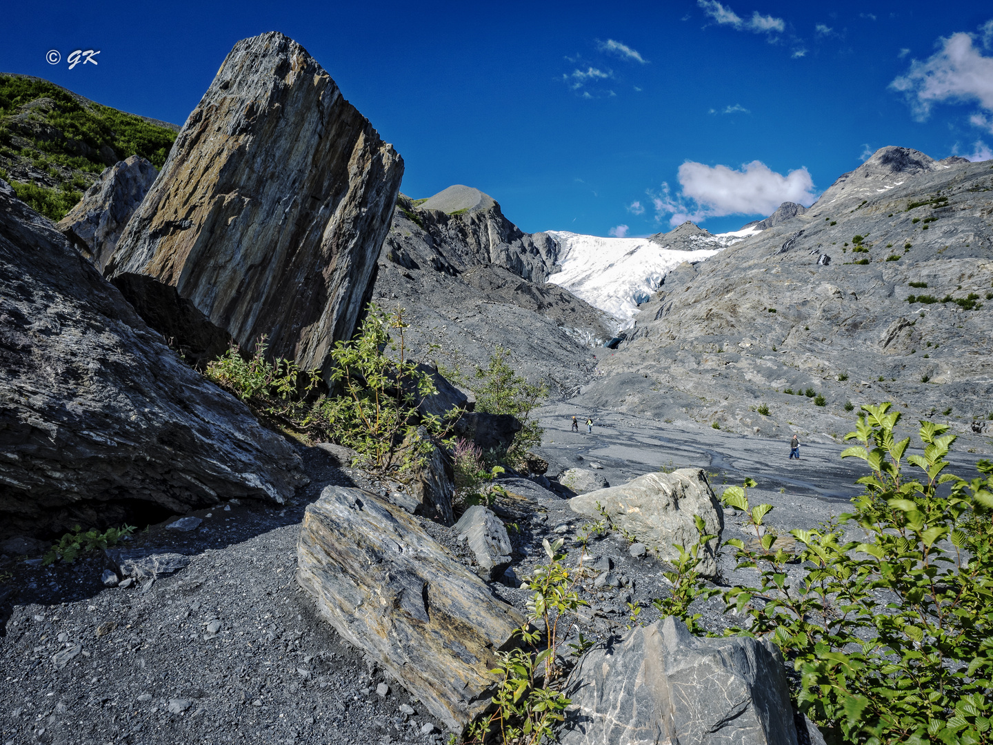 Lanschschaft Alaska