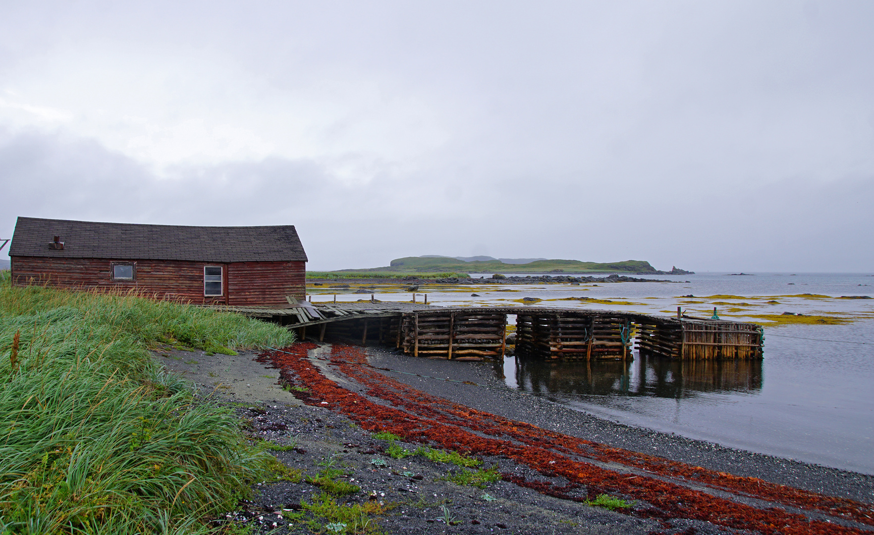 L'Anse aux Meadows  