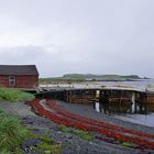 L'Anse aux Meadows  