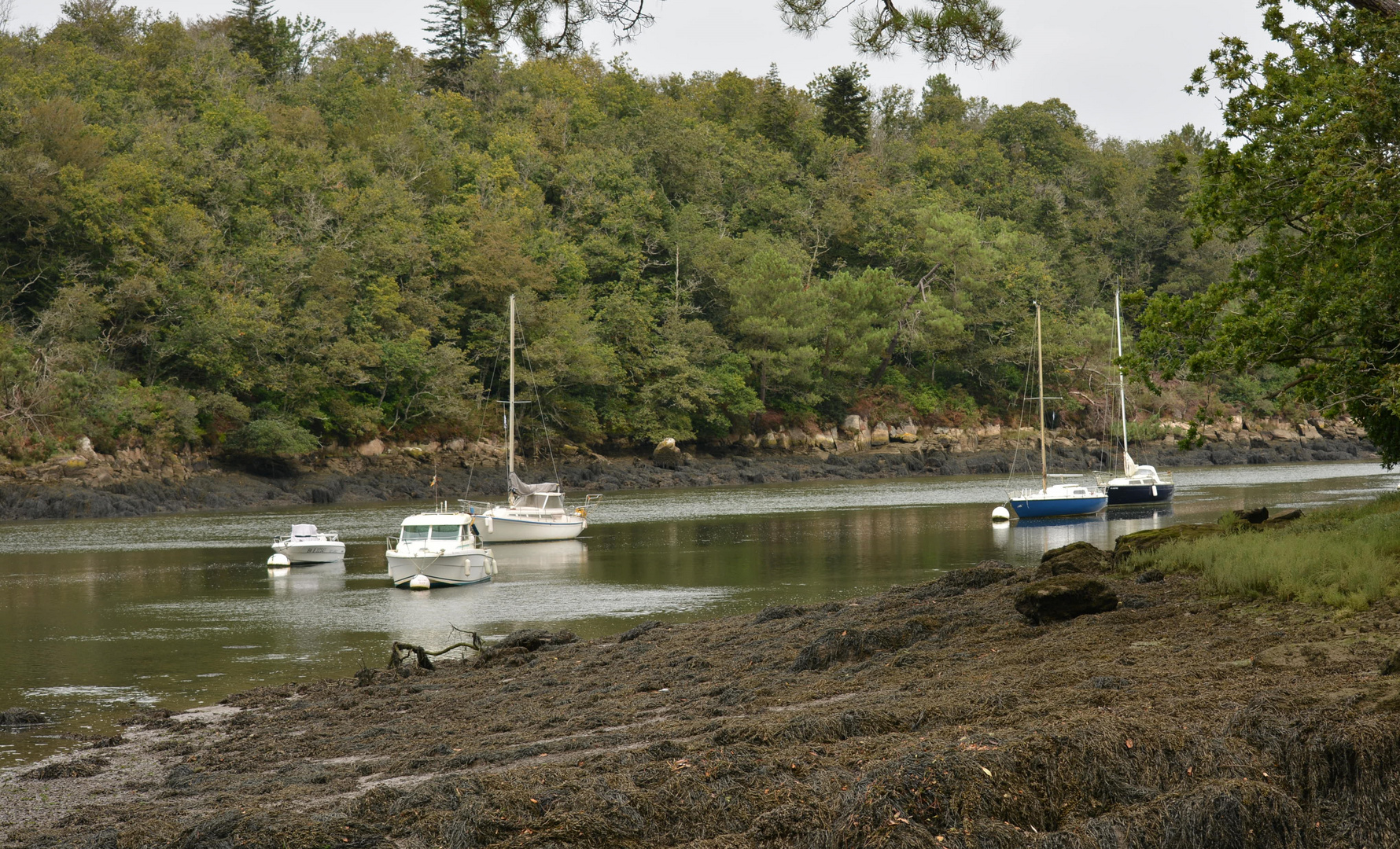 L'anse port