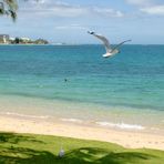 L'Anse Vata à Nouméa