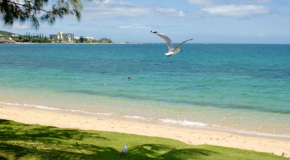 L'Anse Vata à Nouméa