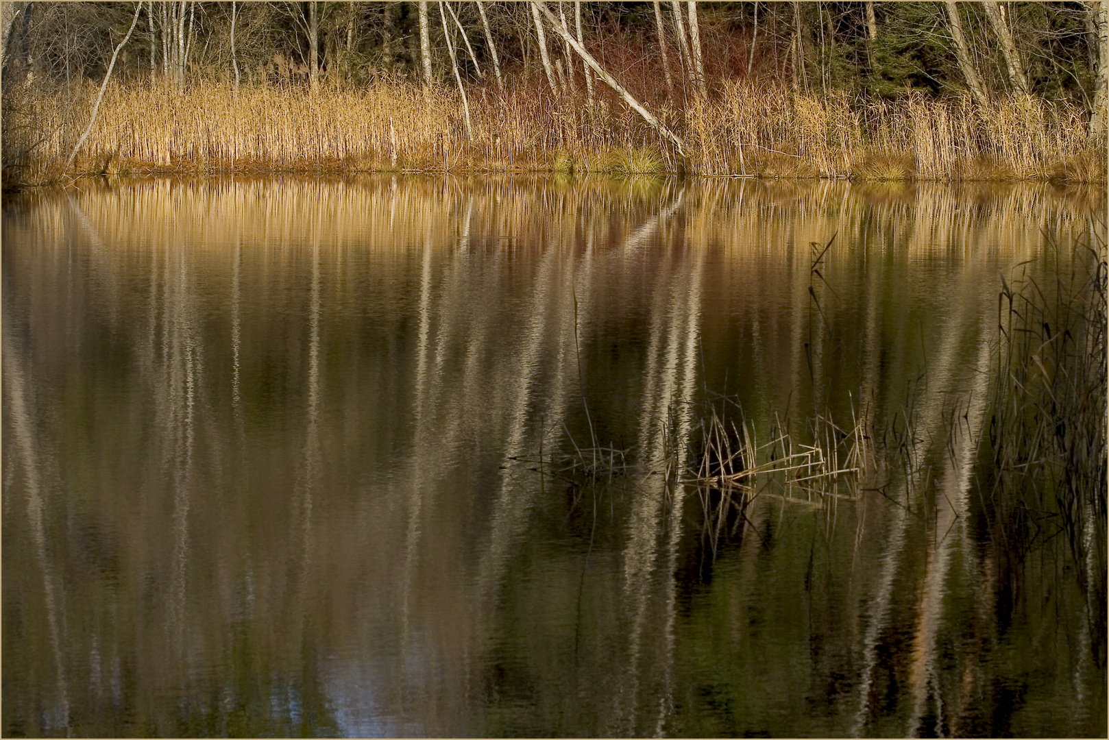 Lansermoor herbstlich 4